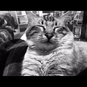 Meet your Posher, Danielle